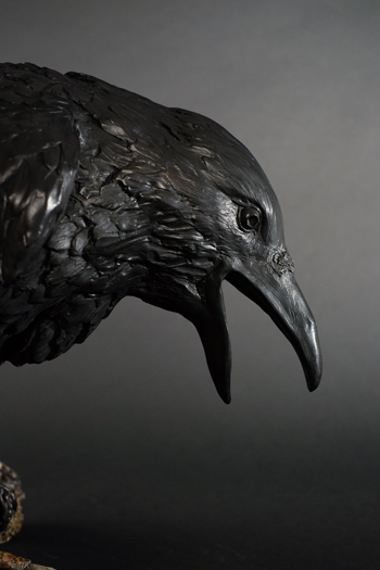 Angry Raven - Stonington Gallery